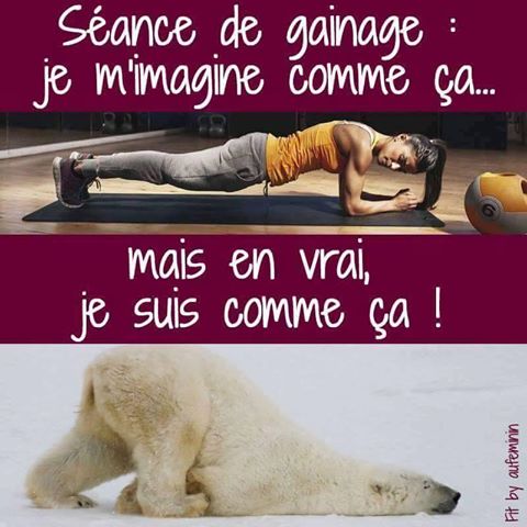 15267579 1136561696459548 4178896702832175680 n