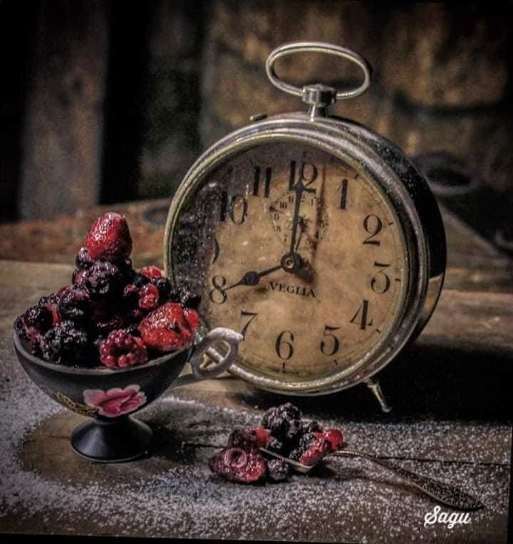 157001688 4524237427593166 1955512697234480530 n