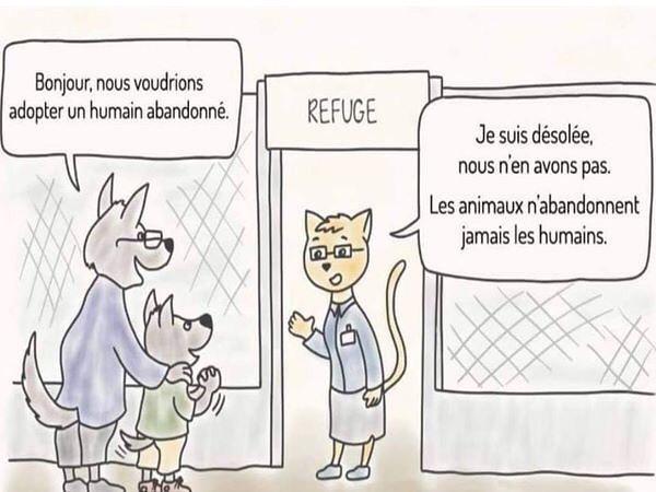 202726167 1488779961473274 1119936245126796668 n