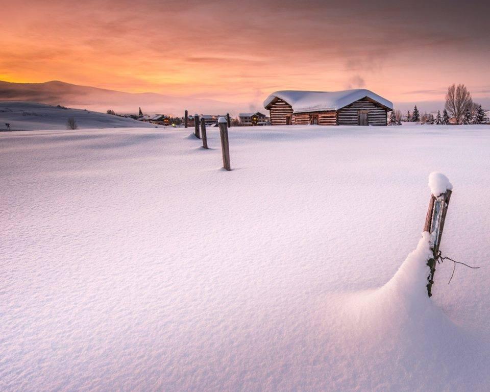 26991613 555745334768568 7188819624411183964 n