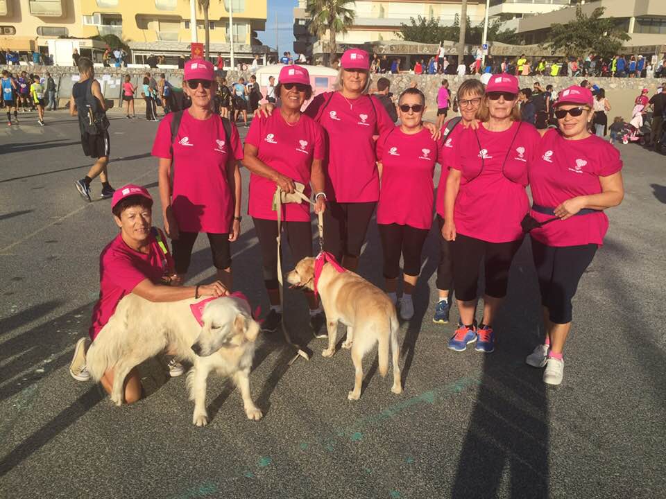 72537793 10216962469518035 2030343951214444544 n