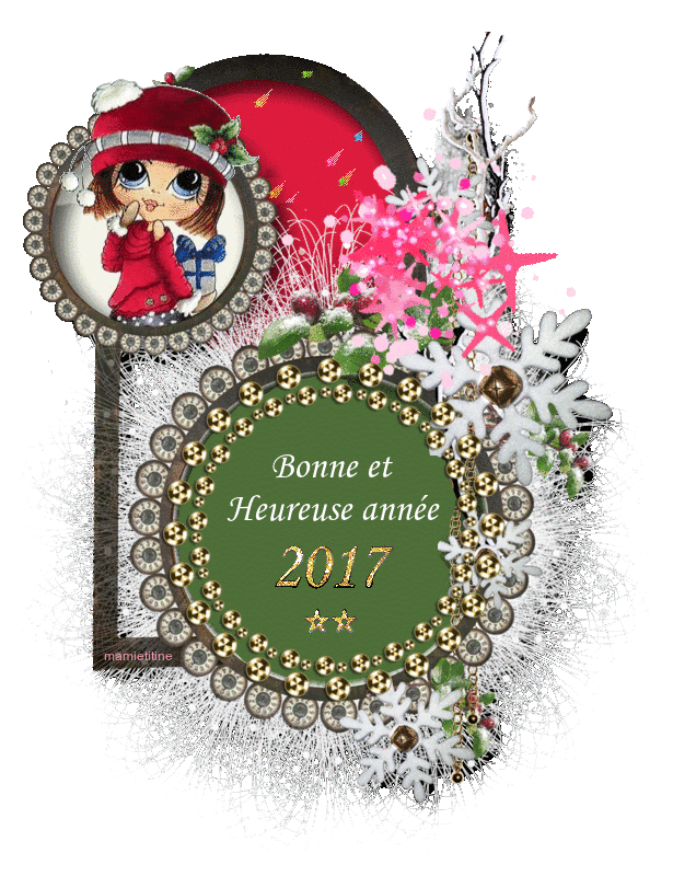 Annee2017 gif1